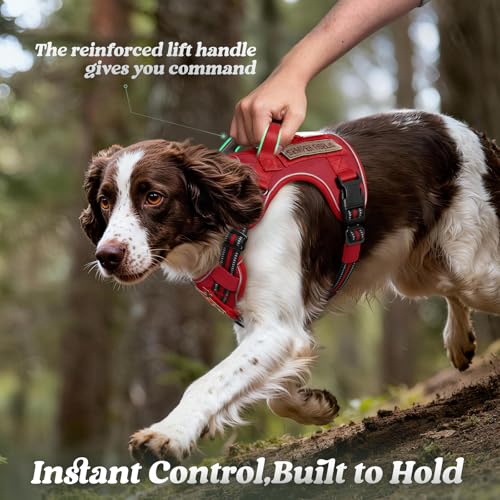 Tactical Dog Harness for Large Dogs (L(Chest:22"-37",Neck:21.1"-30.3",Back:8.3") / Red)