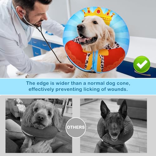 Dog Cone Alternative After Surgery Donut Collar (Sky Blue King / L(Neck 16"-18"))