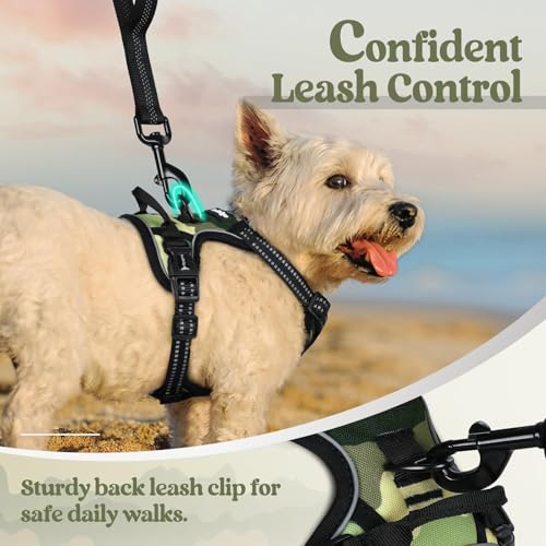 Dog Harness No Pull for Small Dogs with 2 Leash Clips (X-Small / Green Mountain)