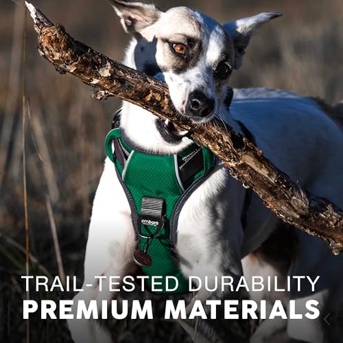 Embark No Pull Dog Harness (M / Green)