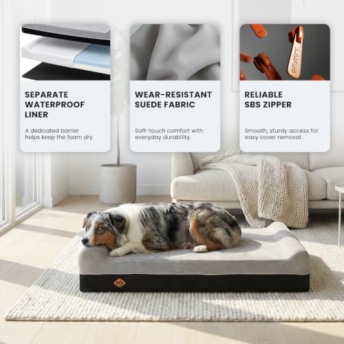 Orthopedic Dog Beds for Large Dogs (50.0"L x 36.0"W x 10.0"Th / Slate Gray)