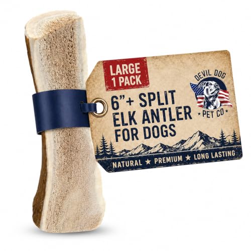Split Elk Antlers for Dogs (split - Large - 1 Pack)