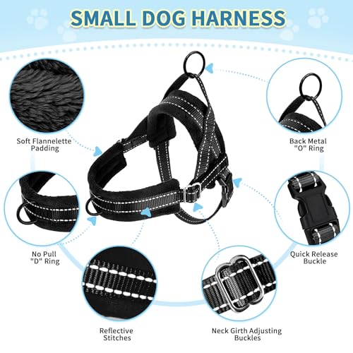 No Pull Small Dog Harness and Leash Set with Front Clip (X-Small / Black)