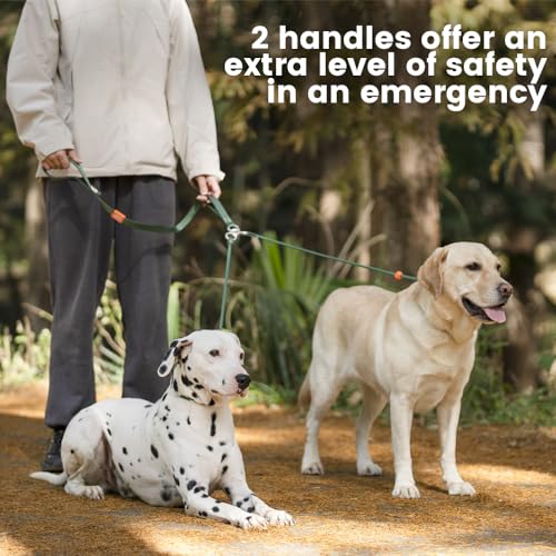 Slip Lead Leash 2 Dogs (MintGreen / w/ Handle)