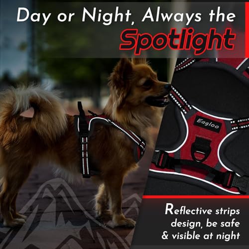 Dog Harness for Small Dogs (X-Small / Red)
