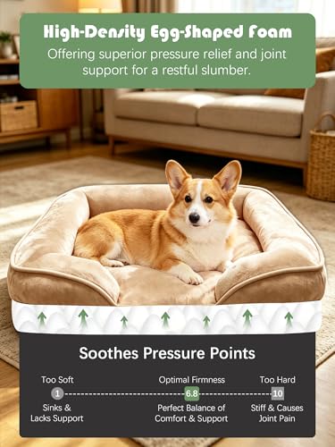 Orthopedic Dog Bed with Sides (28.0"L x 23.0"W x 6.5"Th / Brown)