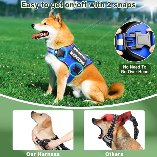 Service Dog Vest Harness and Leash Set+10 Patches (Large / Blue)