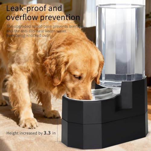 9L Elevated Dog Water Dispenser (Black / 9L Raised)