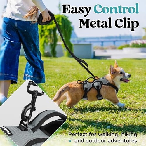 Escape Proof Dog Harness for Small (Grey / Small)