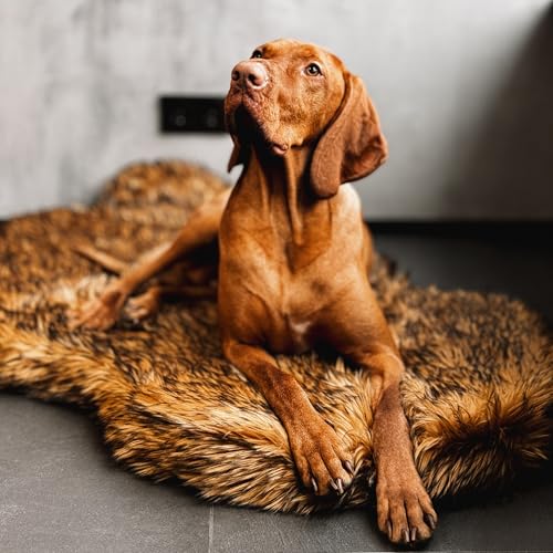 Faux Fur Orthopedic Dog Bed (Brown / Large/Extra Large)