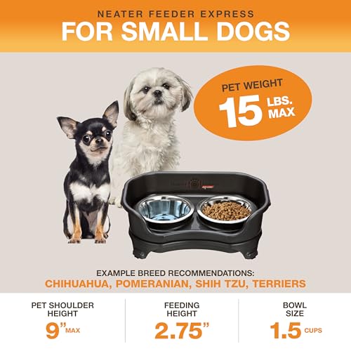 Express Mess Proof Dog Bowls Elevated for Small Breeds Under 15 Lb (Small w/ Standard Bowls / Midnight Black)