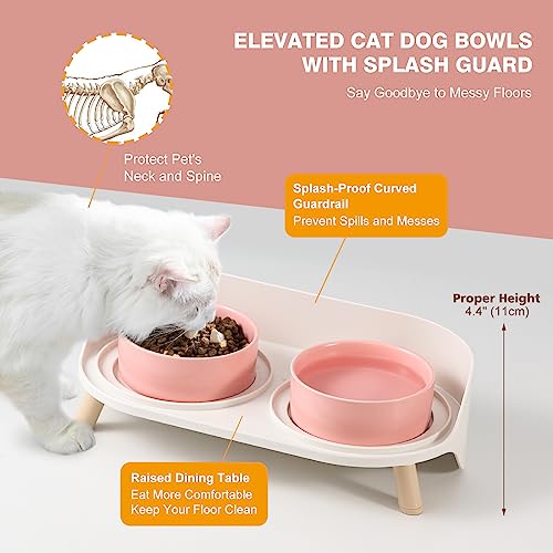 Raised Cat Food and Water Bowl Set (Pink / Small)