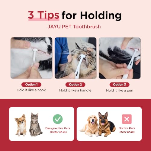 Dental Care Brush with Firm Bristles (Firm Bristles / 1 Count (Pack of 1))