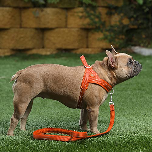No Pull Dog Harness for Medium Sized Dog (M: chest 19.7"-25.2" / Orange)