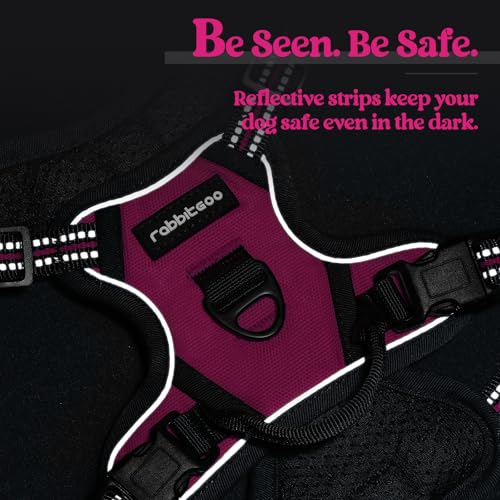 Dog Harness No Pull with 2 Leash Clips (X-Small / Hot Pink)