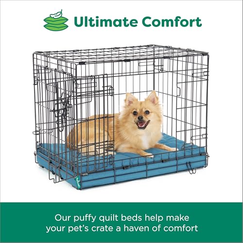 Orthopedic Dog Bed (X-Large / Lagoon)