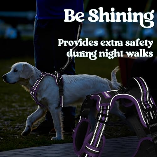 Dog Harness for Large (X-large / Black & Purple)