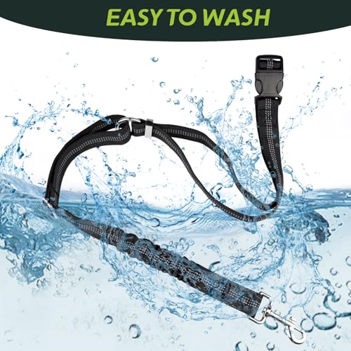 Golf Cart Dog Seat Leash (Black)