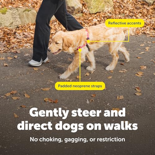 Deluxe Easy Walk Harness (Large / Rose Red)