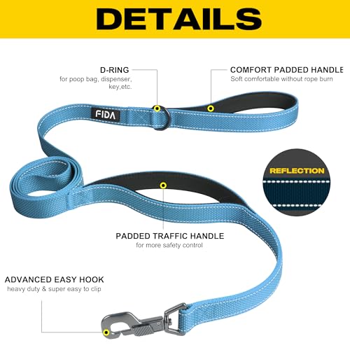Heavy Duty Dog Leash for Medium Large Dogs (5 Feet (Pack of 1) / Blue)