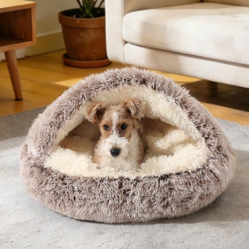 Hooded Donut Bed (Gradual brown / Medium 23.6'')