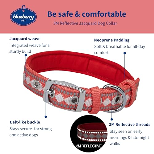 Reflective Jacquard Dog Collar with Neoprene Padding & Metal Buckle (Medium / Metal Buckle-Coral)