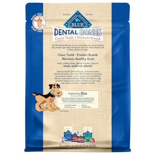 Small Dental Bones (12 Ounce (Pack of 1))