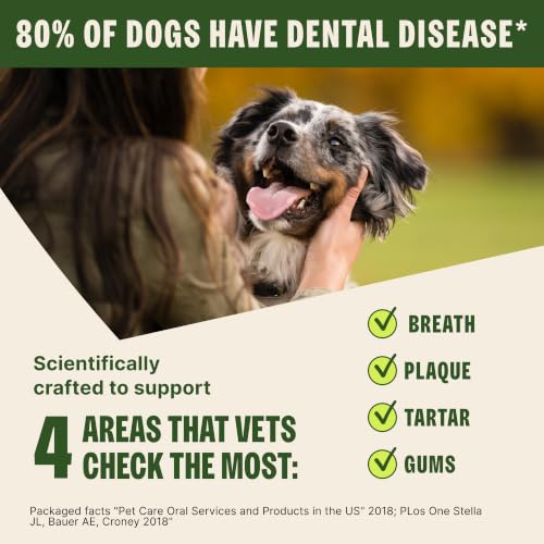 Wellness WHIMZEES Brushzees Natural Dog Dental Treat (2 Count (Pack of 1))