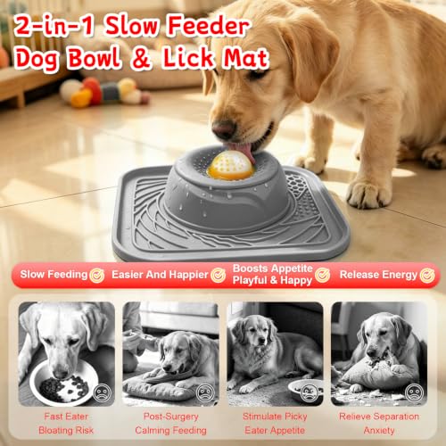 Slow Feeder Dog Bowl & Lick Mat (gray)