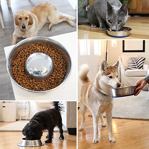 OurPets DuraPet Slow Feed Premium Stainless Steel Dog Bowl (Small (2 Cups))