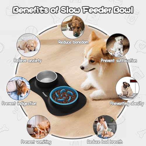 Dog Food and Water Bowl Set 3 in 1 (Small / Black)