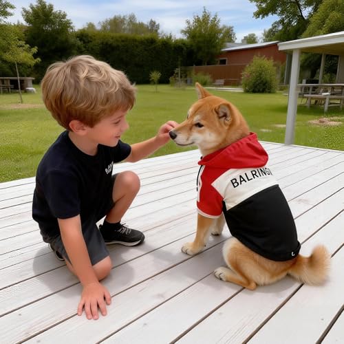 Dog Raincoat Waterproof Dog Rain Jacket Detachable Hood (Red / Medium (8-10Ibs))