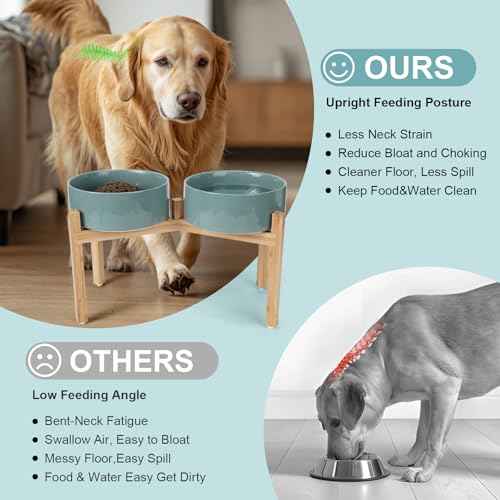 Elevated Dog Bowls Ceramic (8.3 in - 7.6 cups / Dark Green)