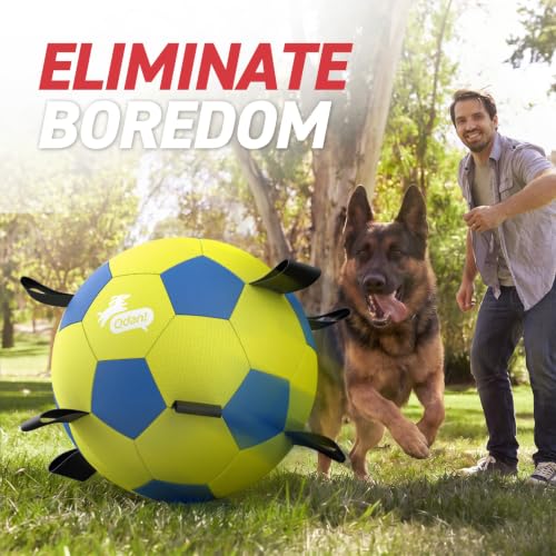25 Inch Herding Ball for Dog with Straps (Yellow / 25 Inch)