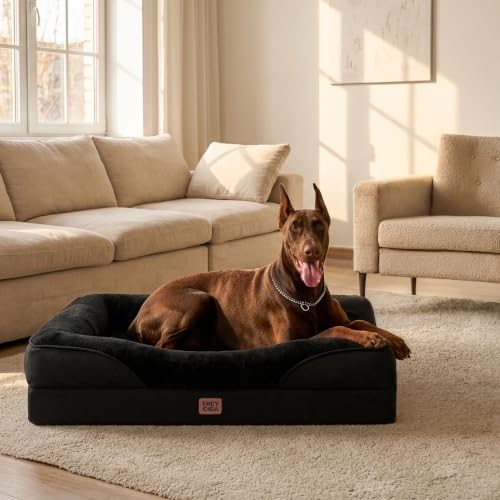 Orthopedic XL Dog Bed for Large Dog (Black / 48x35x7.5)