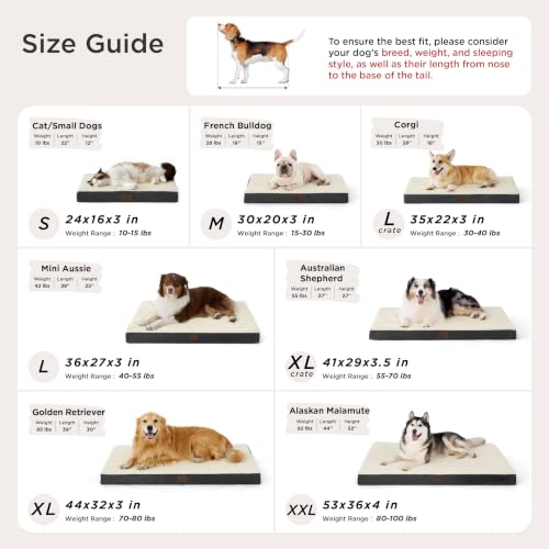 Small Dog Bed (24"L x 16"W x 3"Th / Black)