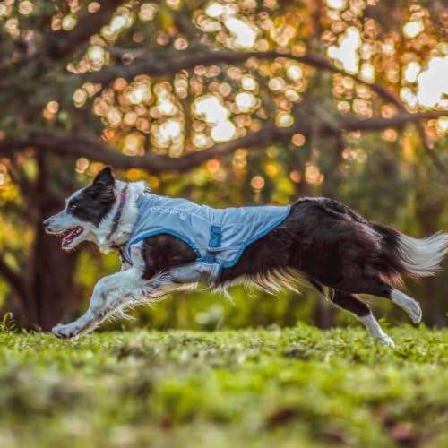 Core Cooling Vest (X-Large)