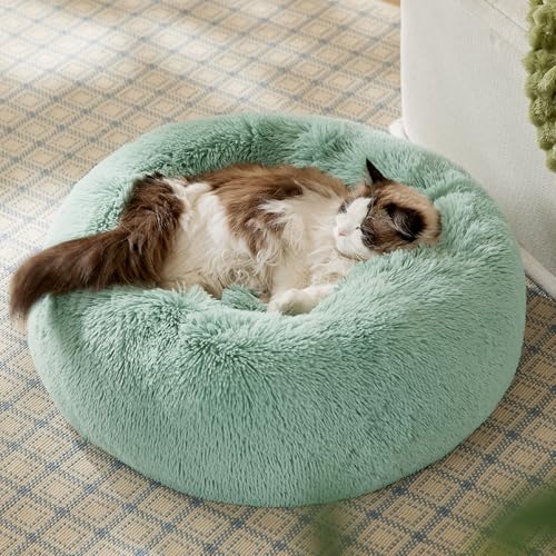 Calming Cat Beds Donut Round Washable Kitten Bed (20"L x 20"W x 6"Th / Rifle Green)