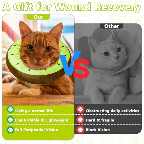 Cat Cone Collar Soft (Kiwifruit / Large)
