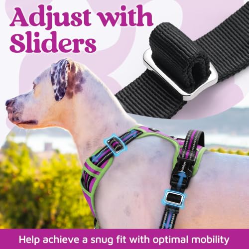 Dog Harness for Large (Purple & Light Green / Large)