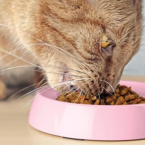 Cat Bowls Whisker Friendly Food Bowl for Indoor Cats (Dish - Set of Two / Pink)