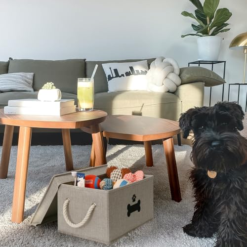 Dog Toy Basket with Lid (Gray / Medium)