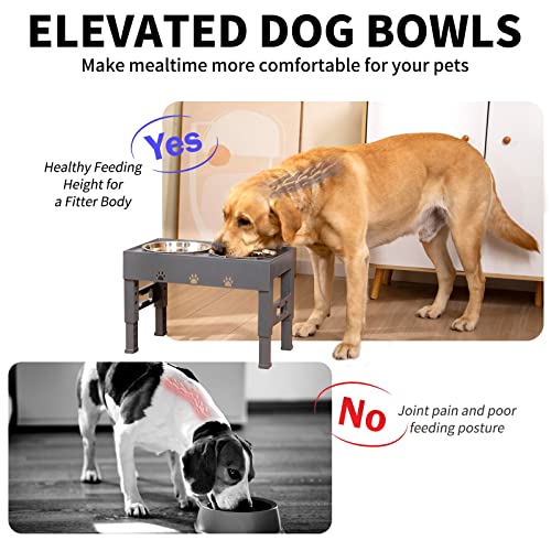 Elevated Dog Bowls with 2 Stainless Steel Bowls (For Medium Large Dogs / Gray)
