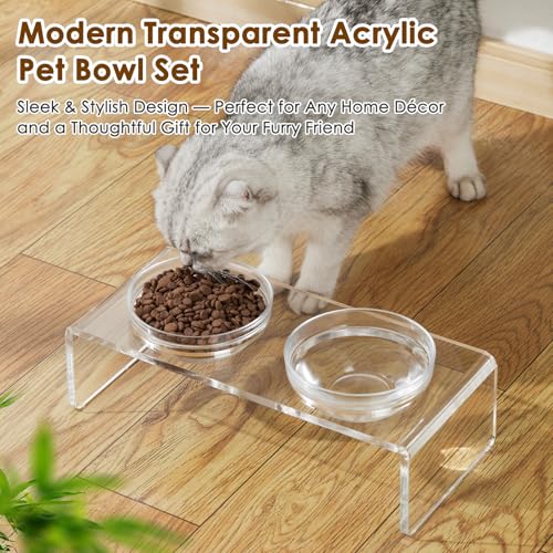 Elevated Acrylic Pet Bowl Stand (Small: 3.75'' Height, 13.7 oz Glass Bowl)