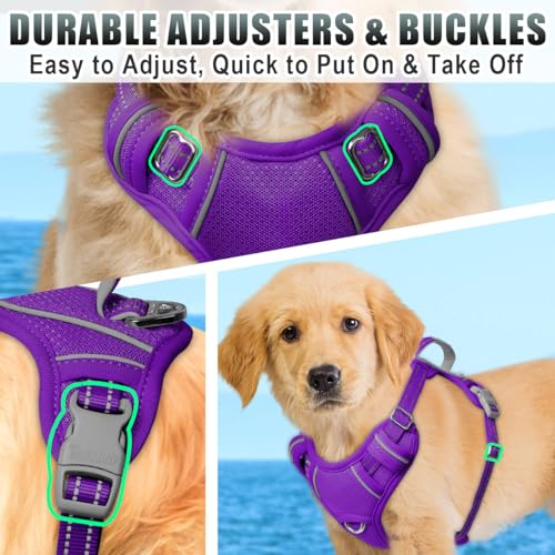 Dog Harness for Small Sized Dog No Pull Dog Vest ID Tag Pocket (Purple / Small)