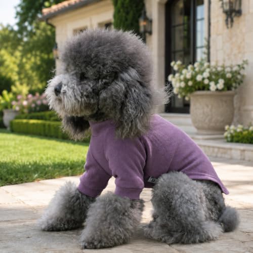 Ribbed Dog T Shirt Cotton Knitted Dog Sweaters for All Season Pet T (XS (for Mini Dog) / Taro purple)