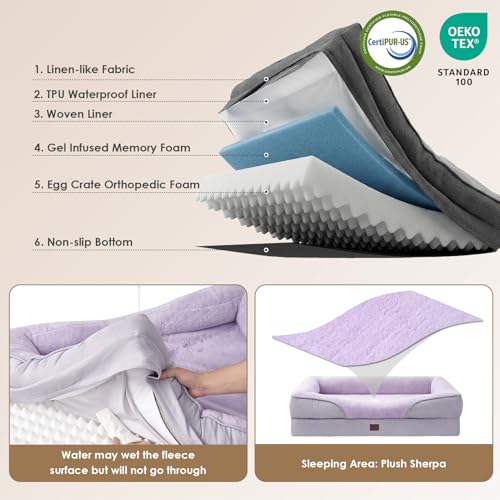 Orthopedic Dog Bed for Medium Dog (Purple / 35x22x6.5)