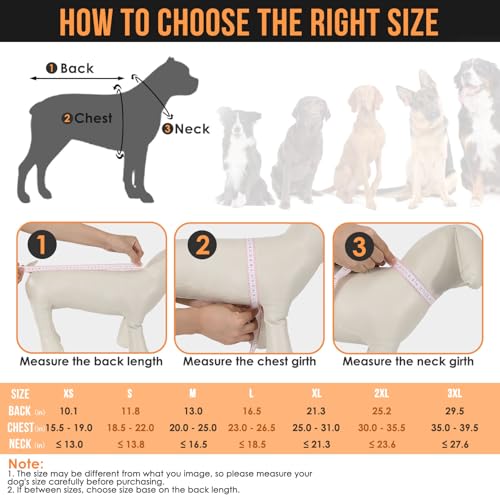 Dog Raincoat Waterproof Dog Rain Jacket with Clear Hooded (Orange / Small)