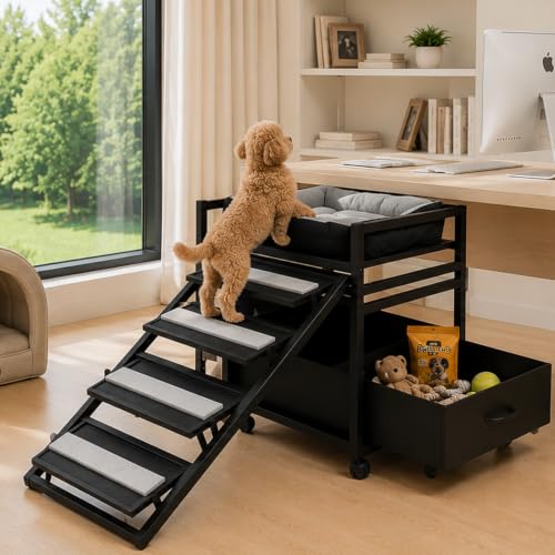 Pet Steps 2 in