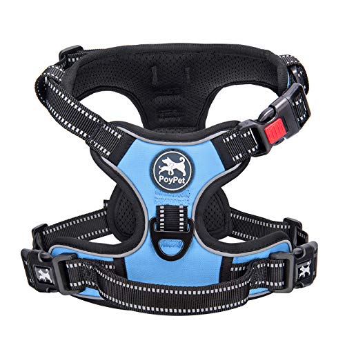 No Pull Dog Harness Large with Front Clip & Neck Release Buckle (Large / Light Blue)